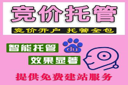 某知名企业竞价推广的全程解析